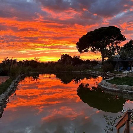 Oasis Camp Portugal Hotel Lagoa  Kültér fotó