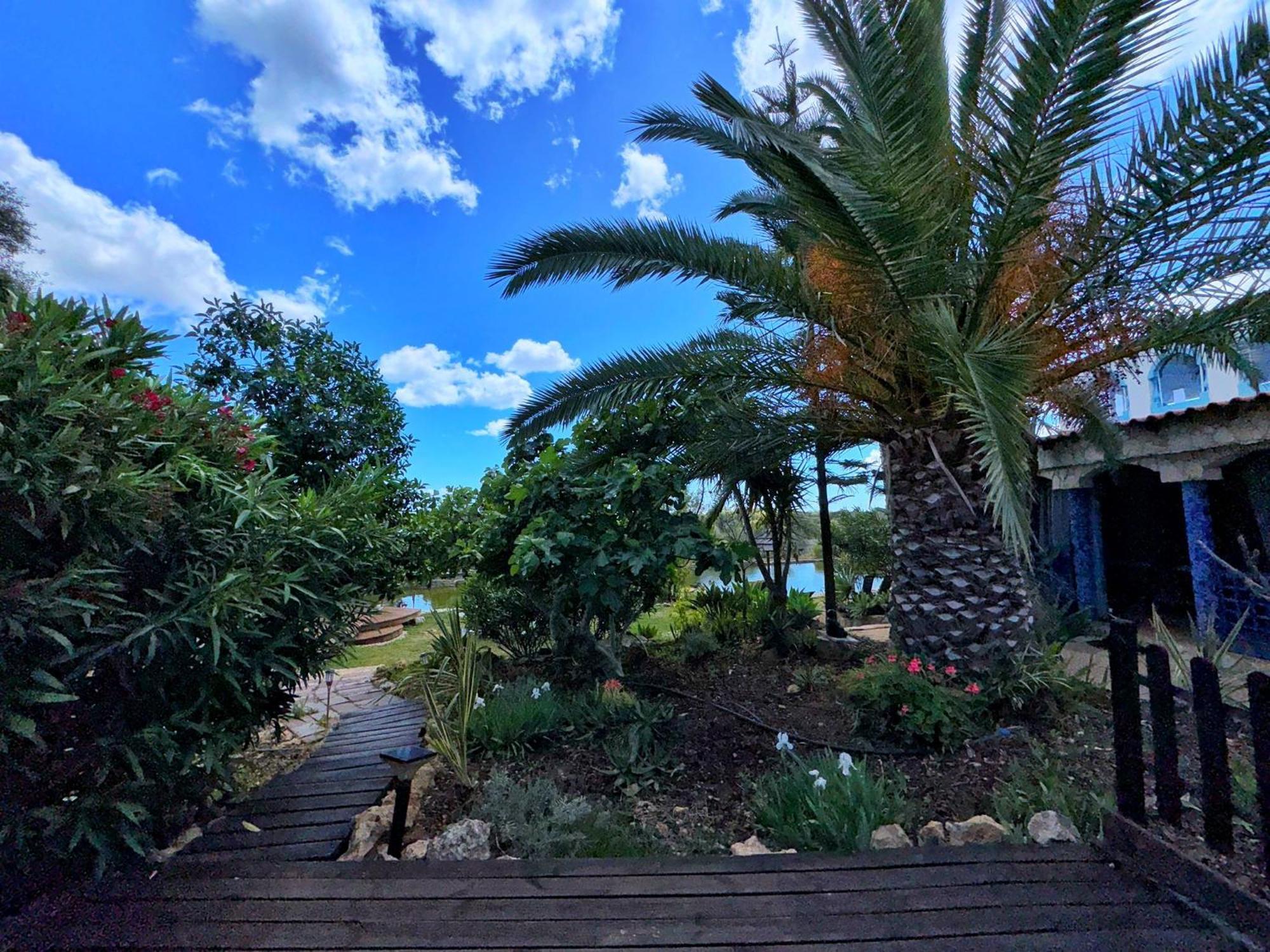 Oasis Camp Portugal Hotel Lagoa  Kültér fotó